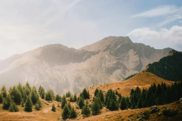 daniel-j-schwarz-zBidJdBbNVI-unsplash